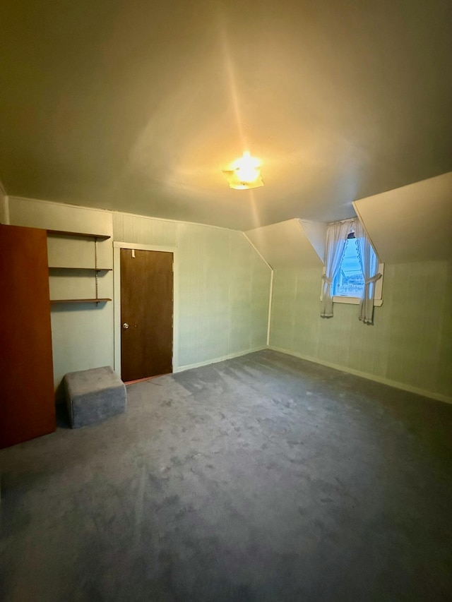 additional living space featuring carpet floors and vaulted ceiling