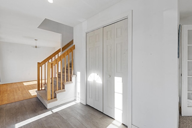 foyer entrance featuring hardwood / wood-style floors