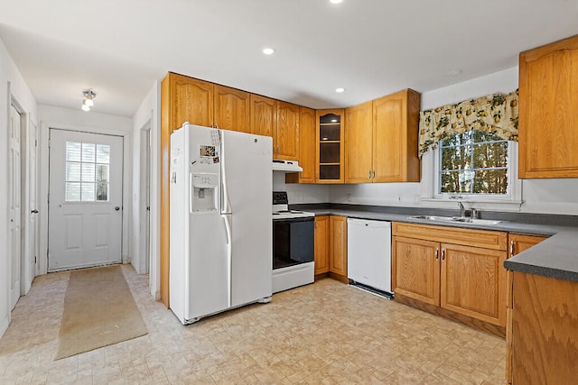 kitchen with white appliances and sink