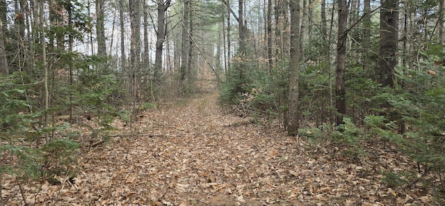 MAPR7 River Rd, Solon, ME 04979 - photo 1
