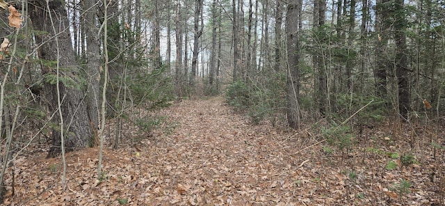 MAPR7 River Rd, Solon, ME 04979 - photo 4