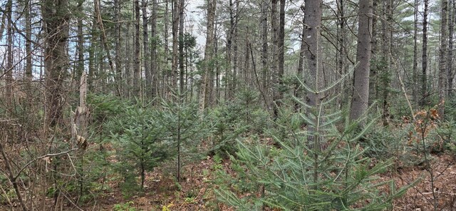 MAPR7 River Rd, Solon, ME 04979 - photo 5