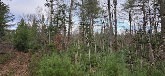 MAPR7 River Rd, Solon, ME 04979 - photo 6