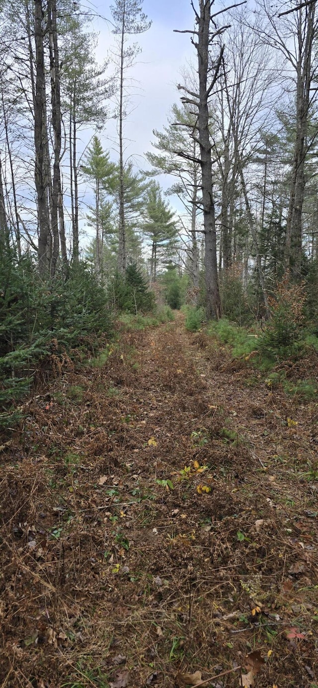 MAPR7 River Rd, Solon, ME 04979 - photo 7