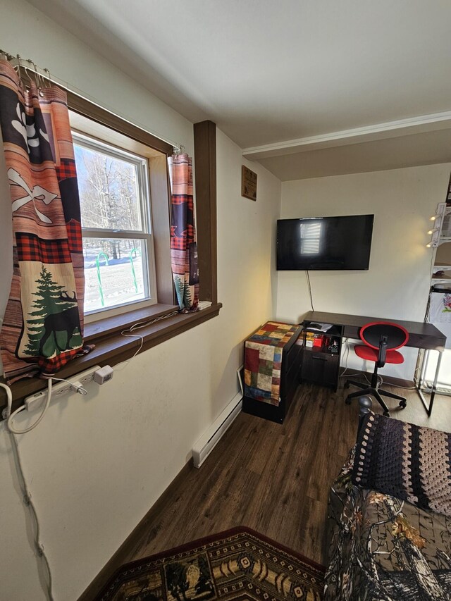 living room featuring dark hardwood / wood-style flooring and baseboard heating