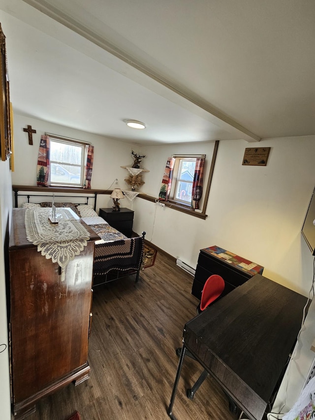 bedroom with baseboard heating, multiple windows, and dark hardwood / wood-style flooring