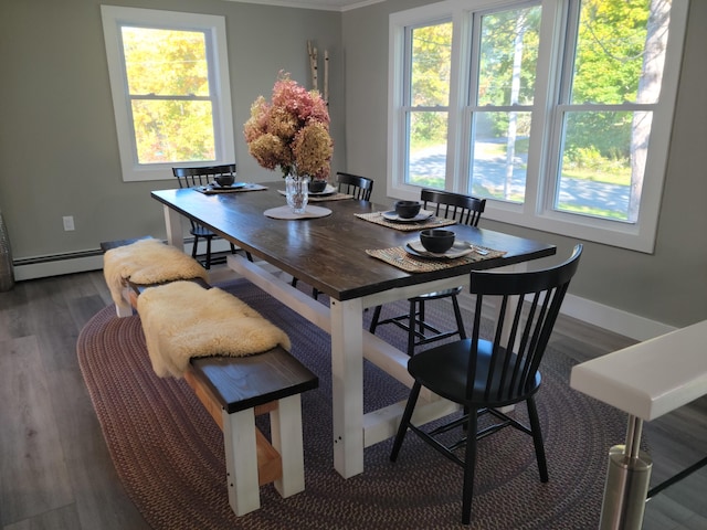 dining room featuring crown molding, dark hardwood / wood-style flooring, and a baseboard radiator