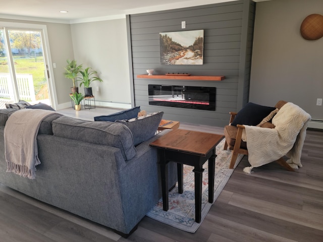 living room featuring crown molding, wood-type flooring, a fireplace, and a baseboard radiator