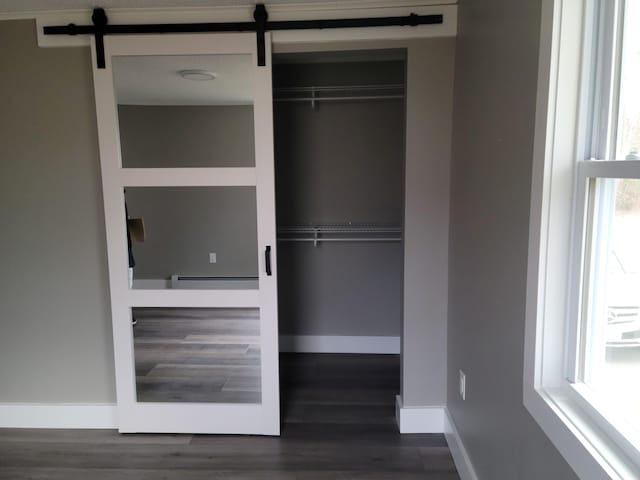 closet with baseboard heating