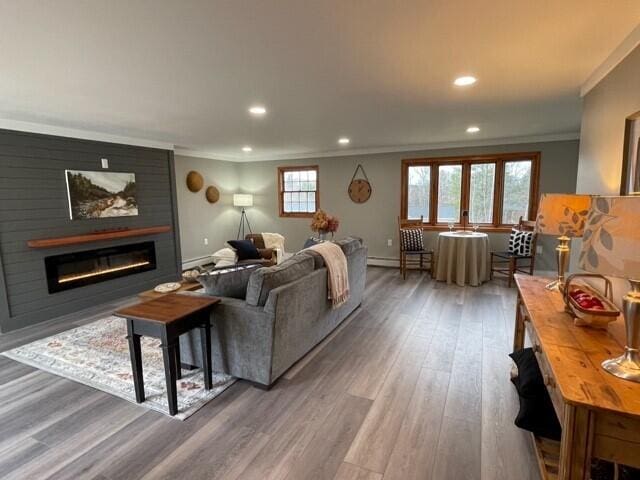 living room with wood-type flooring, crown molding, and baseboard heating