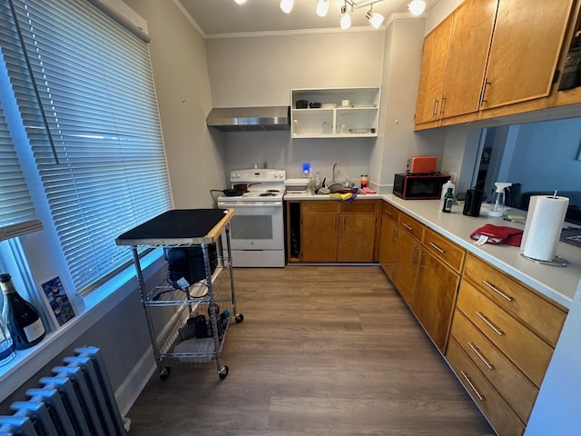 kitchen featuring radiator, wall chimney exhaust hood, white electric range oven, wood-type flooring, and ornamental molding