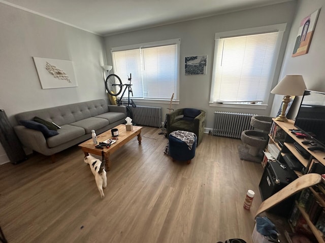 living room featuring a healthy amount of sunlight, wood-type flooring, and radiator