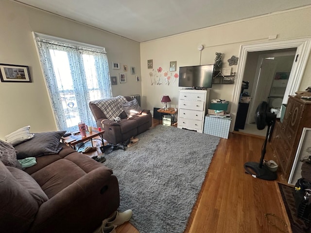 living room featuring dark hardwood / wood-style floors