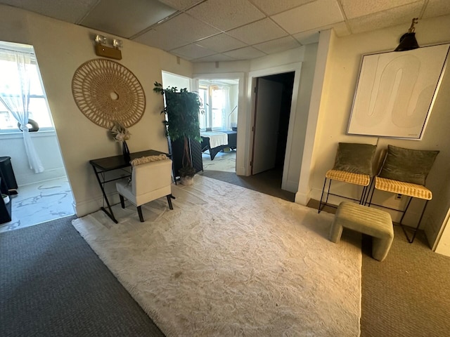 interior space featuring carpet flooring and a drop ceiling