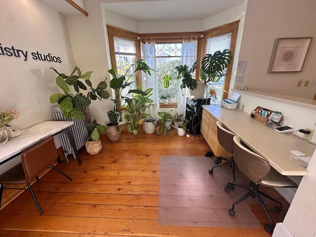 office with hardwood / wood-style flooring and radiator heating unit