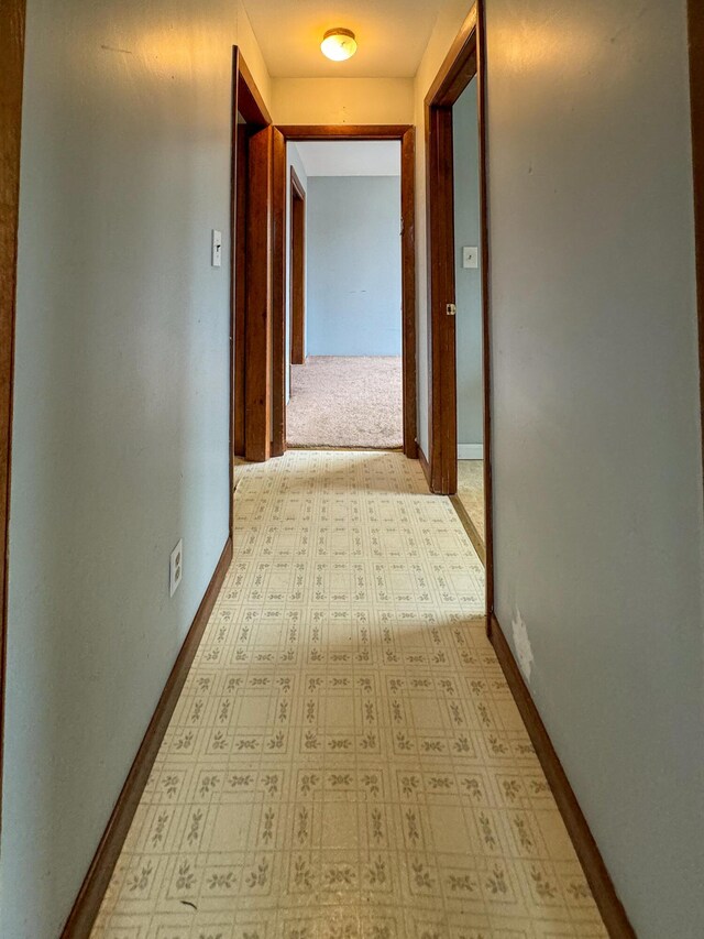 787 Cutler Rd, Machiasport, ME 04655 - photo 40