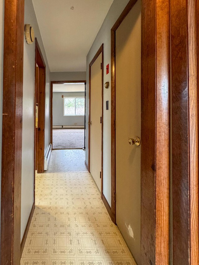 787 Cutler Rd, Machiasport, ME 04655 - photo 26
