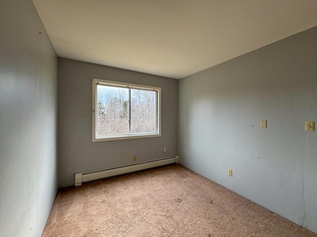 787 Cutler Rd, Machiasport, ME 04655 - photo 28