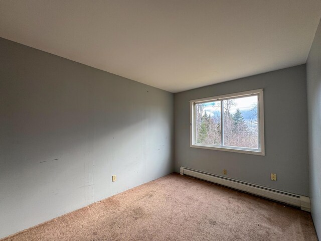 787 Cutler Rd, Machiasport, ME 04655 - photo 39