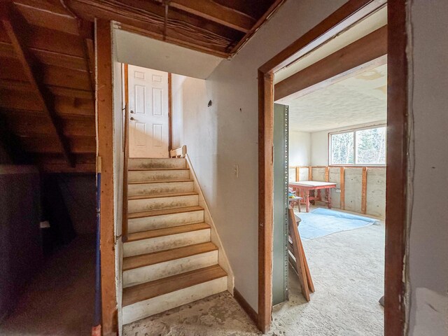 787 Cutler Rd, Machiasport, ME 04655 - photo 43