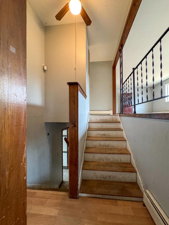 787 Cutler Rd, Machiasport, ME 04655 - photo 42