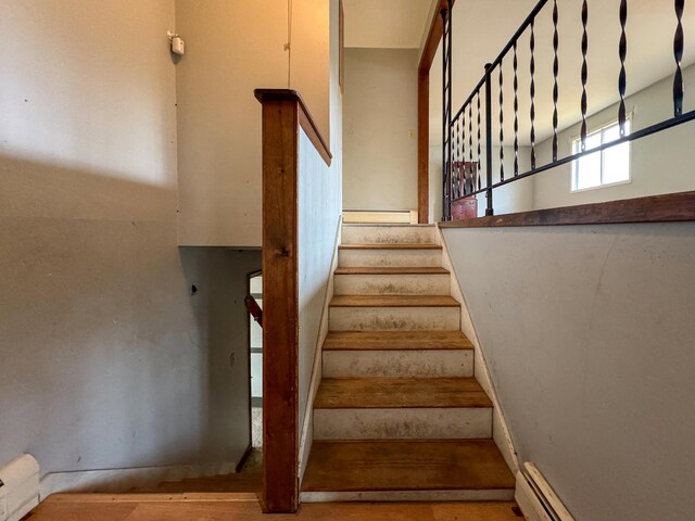 787 Cutler Rd, Machiasport, ME 04655 - photo 60