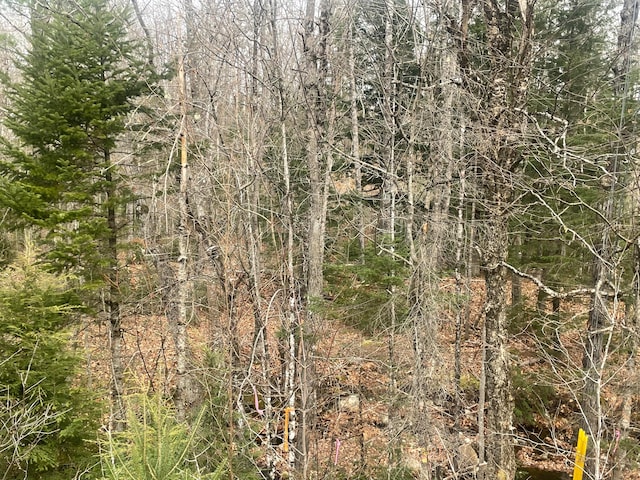 LOT22 Roxbury Notch Rd, Roxbury ME, 04275 land for sale