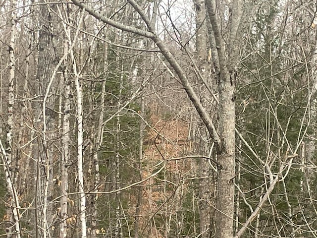 Listing photo 3 for LOT22 Roxbury Notch Rd, Roxbury ME 04275