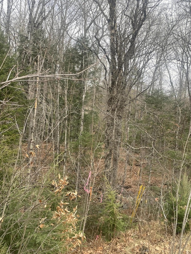 LOT22 Roxbury Notch Rd, Roxbury, ME 04275