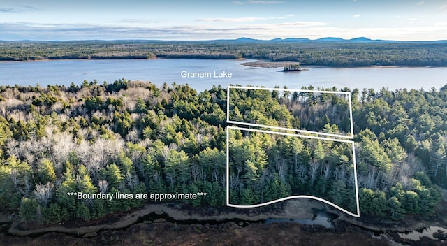 Listing photo 2 for MU12/L2 Peninsula Dr, Mariaville ME 04605