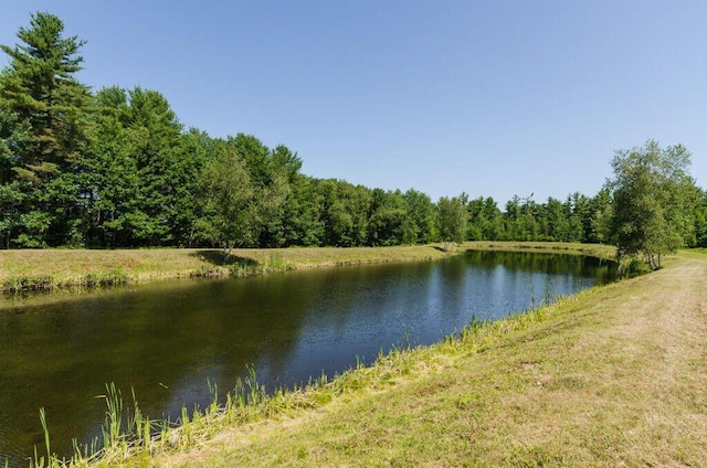 0 Parsons Rd, Norway, ME 04268 - water view featuring a heavily wooded area