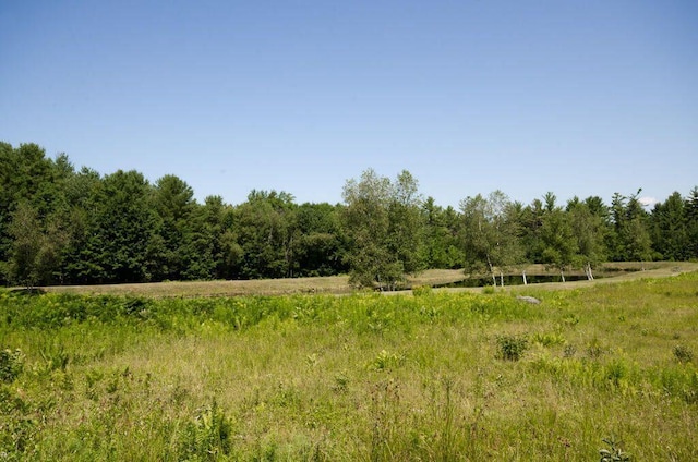 0 Parsons Rd, Norway, ME 04268 - view of woods