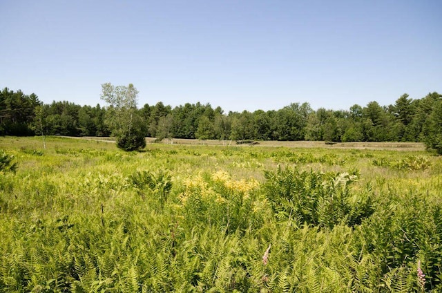 0 Parsons Rd, Norway, ME 04268 - view of tree filled area with a view of countryside
