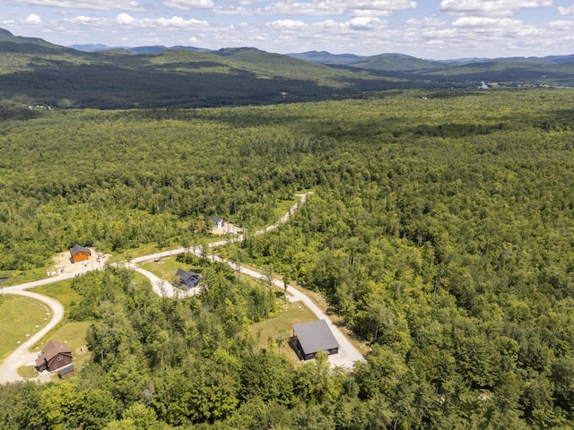 53 Harmony Row, Bethel, ME 04217 - photo 95