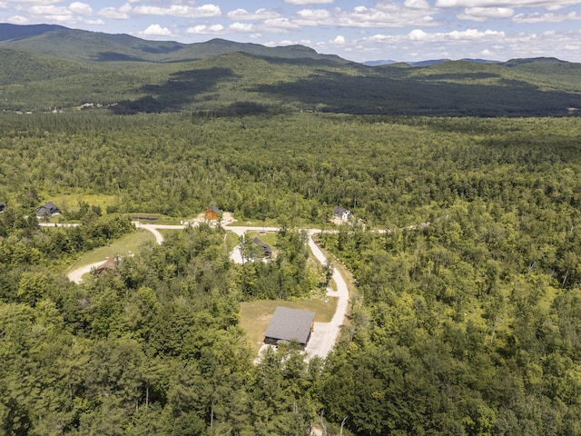53 Harmony Row, Bethel, ME 04217 - photo 96