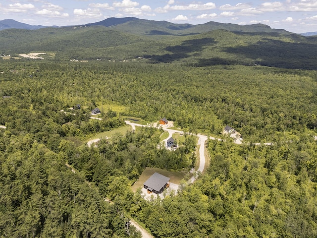 53 Harmony Row, Bethel, ME 04217 - photo 98