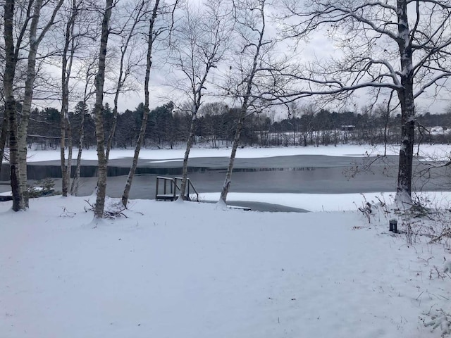 view of yard covered in snow