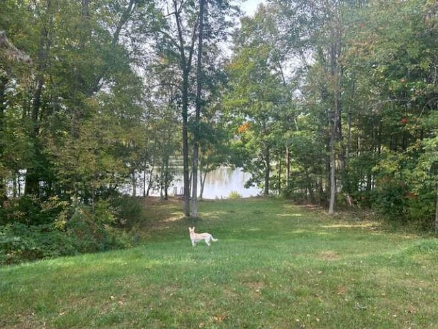 view of yard with a water view