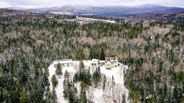 drone / aerial view with a mountain view