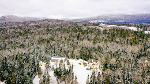 aerial view with a mountain view