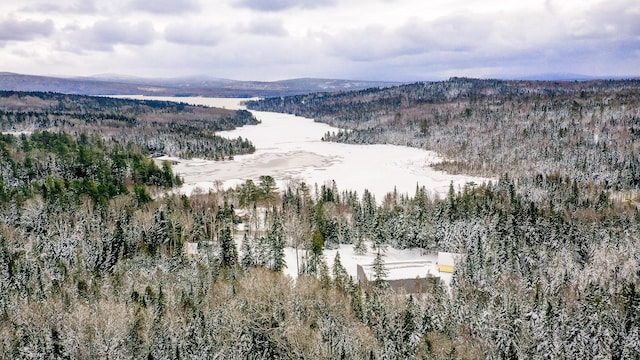 snowy aerial view with a mountain view