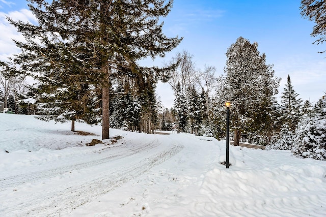 view of yard covered in snow