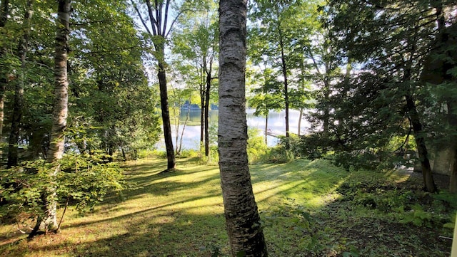 view of landscape featuring a water view