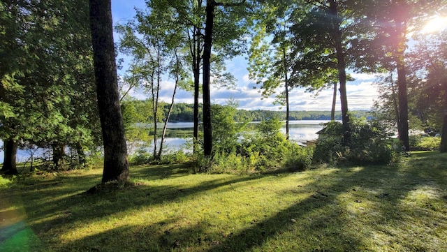 view of yard with a water view