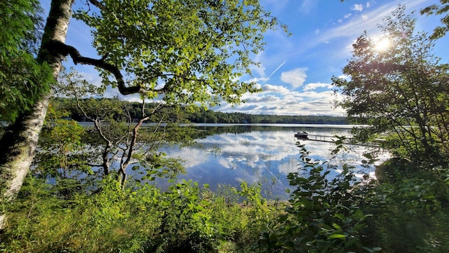 property view of water