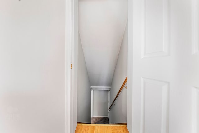 stairway with wood-type flooring