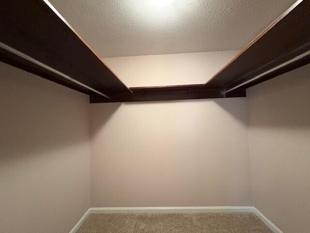 spacious closet with carpet