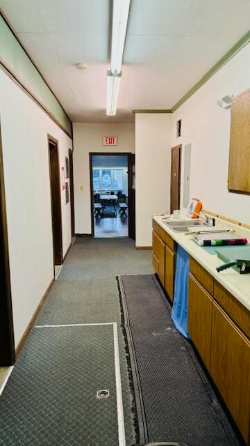 interior space featuring light carpet and sink