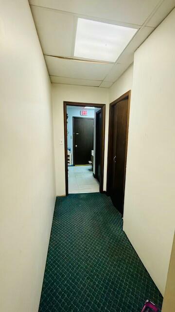 corridor featuring carpet flooring and a drop ceiling