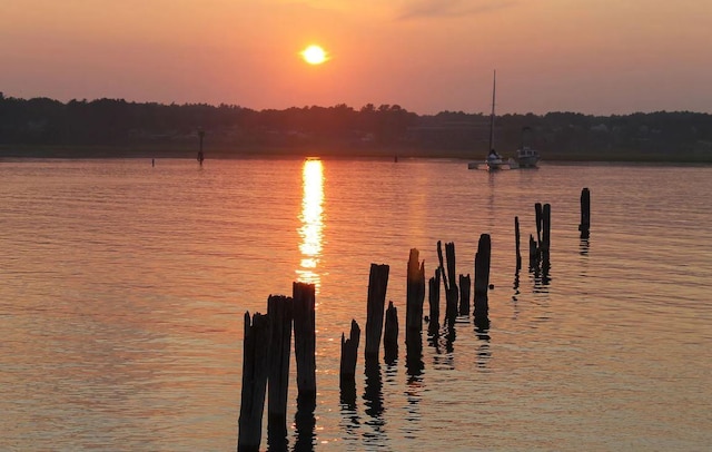 view of water feature featuring a dock